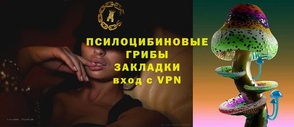 меф Ладушкин