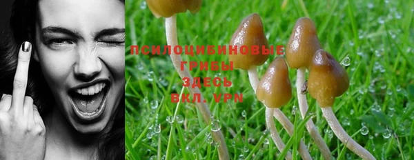 MDMA Лихославль