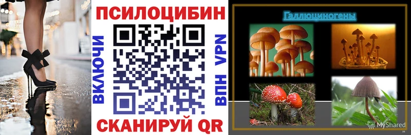 Галлюциногенные грибы MAGIC MUSHROOMS  Купить где  Ардатов 